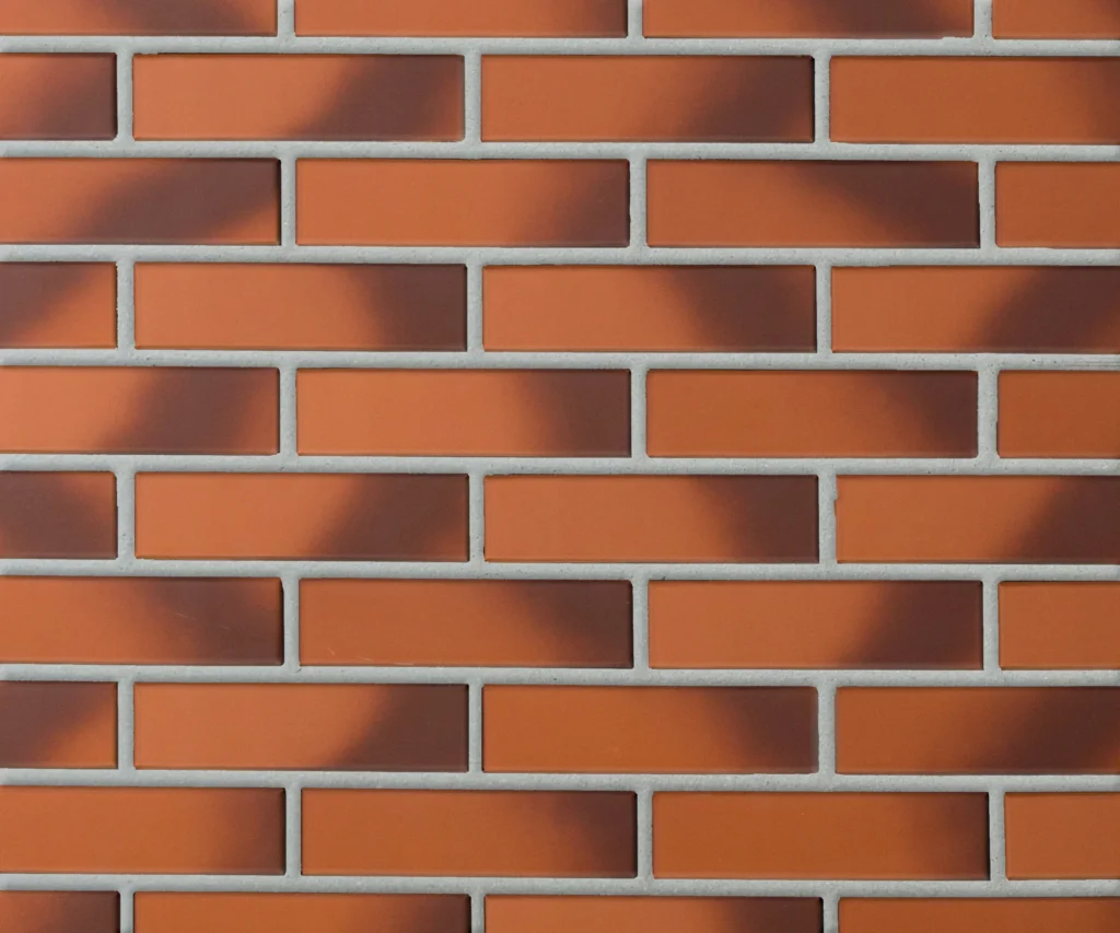 cameleo siena v2 scaled.jpg